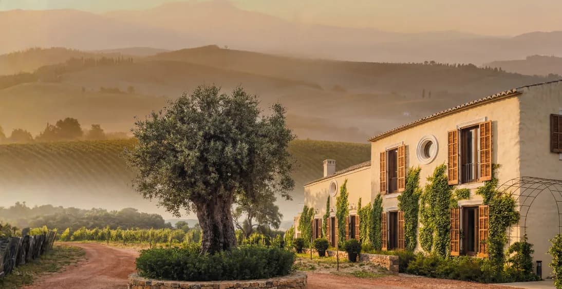 Cortijo met olijfboom